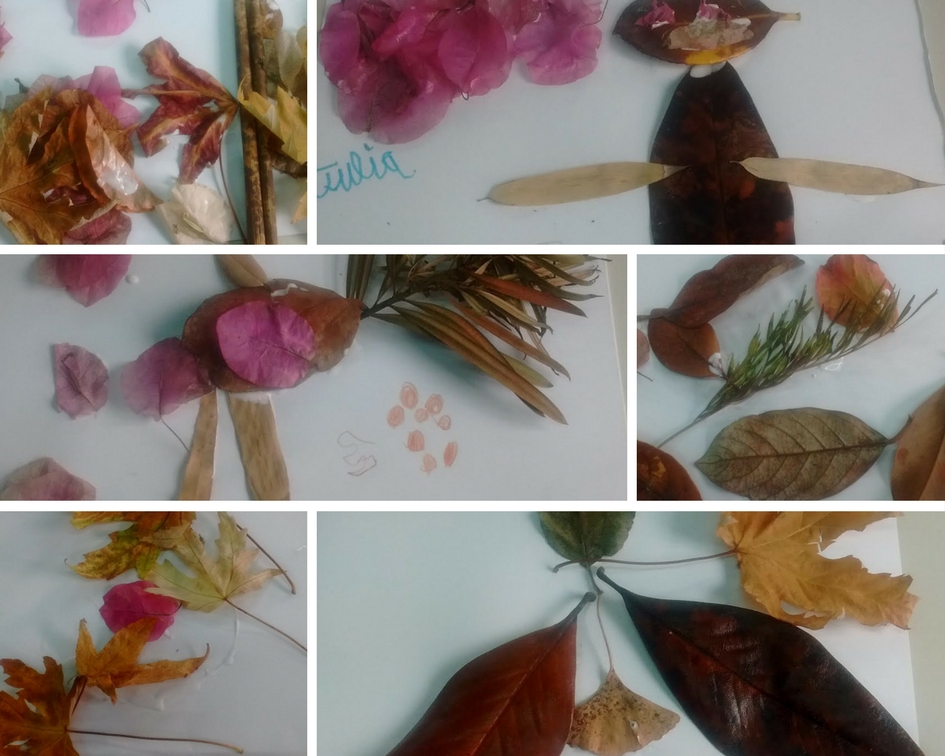 Hicimos creaciones artísticas con hojas y flores del suelo del jardín