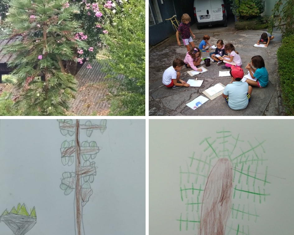 Aprendimos sobre el árbol dinosaurio y lo pintamos del natural